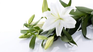 Probate Solicitors Birmingham